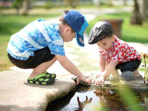 HaiRobe, pixabay.com, CC0 1.0