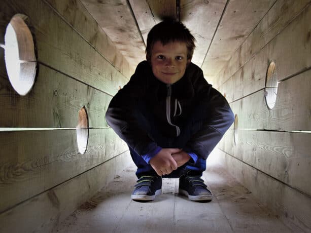 The link between working memory and intelligence – BOLD