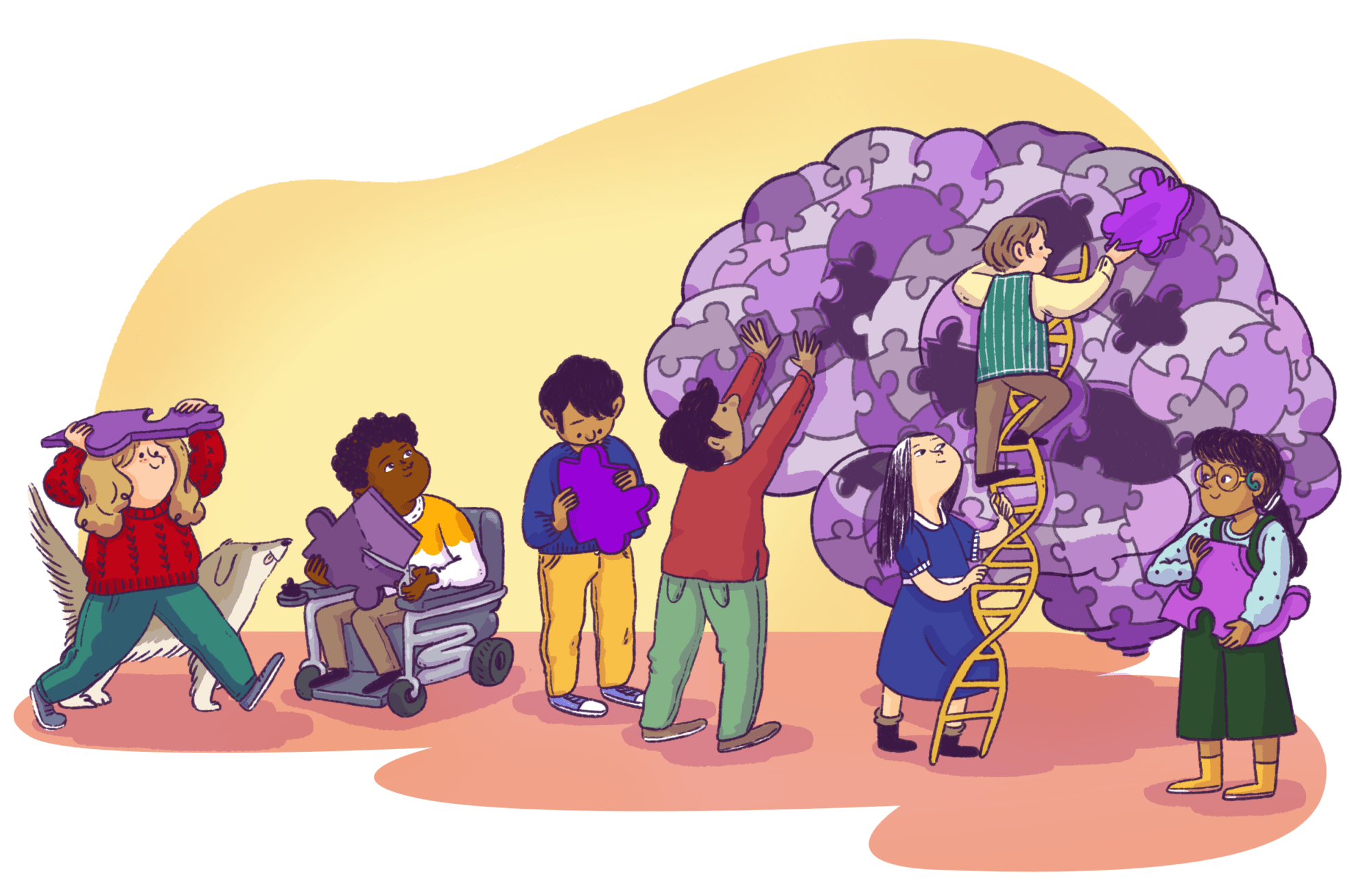 Development – BOLD