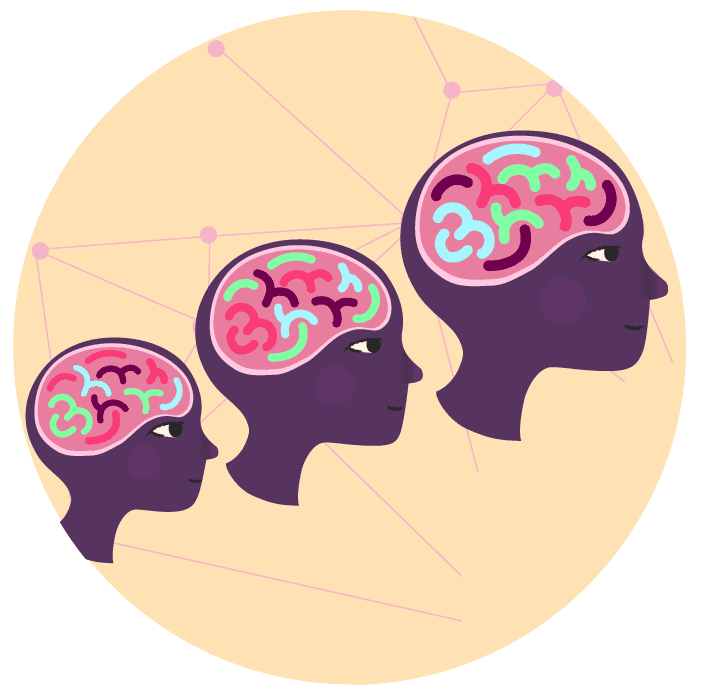 A brain develops from infancy to adulthood.