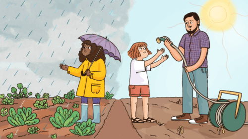 A child looks at their crops growing in the rain, and another child whose crops are dry waters them with the help of a researcher.
