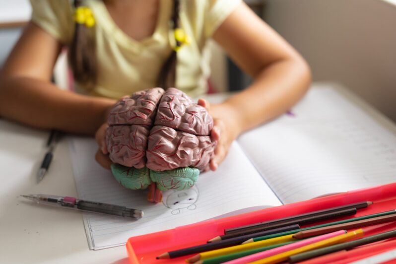 A child holds a model of a brain.
