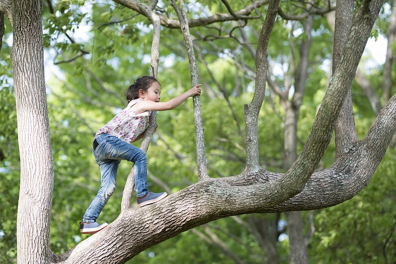 A girl is climbing a tree.